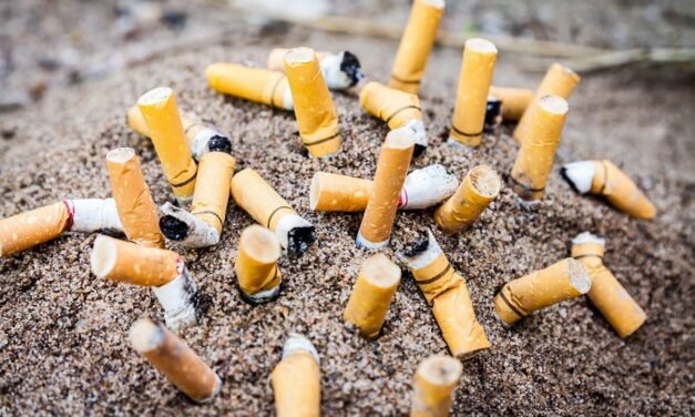 Interdiction des filtres à cigarettes : la demande de plus de 130 experts de la santé