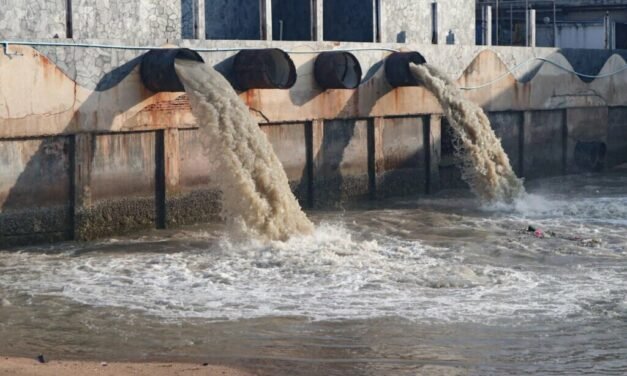 Réutilisation des eaux usées : un décret annoncé pour promouvoir cette pratique écologique