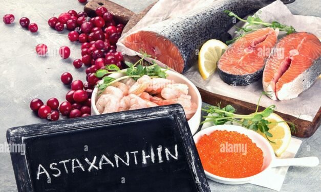L’astaxanthine : un antioxydant plus puissant que la vitamine C, la vitamine E et la coenzyme Q10