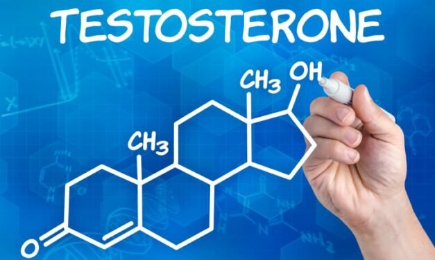 Augmenter naturellement son taux de testostérone : méthodes et conseils